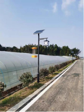 Solar Insecticidal Lamp Factory Crafting Eco-Friendly Pest Control Solutions