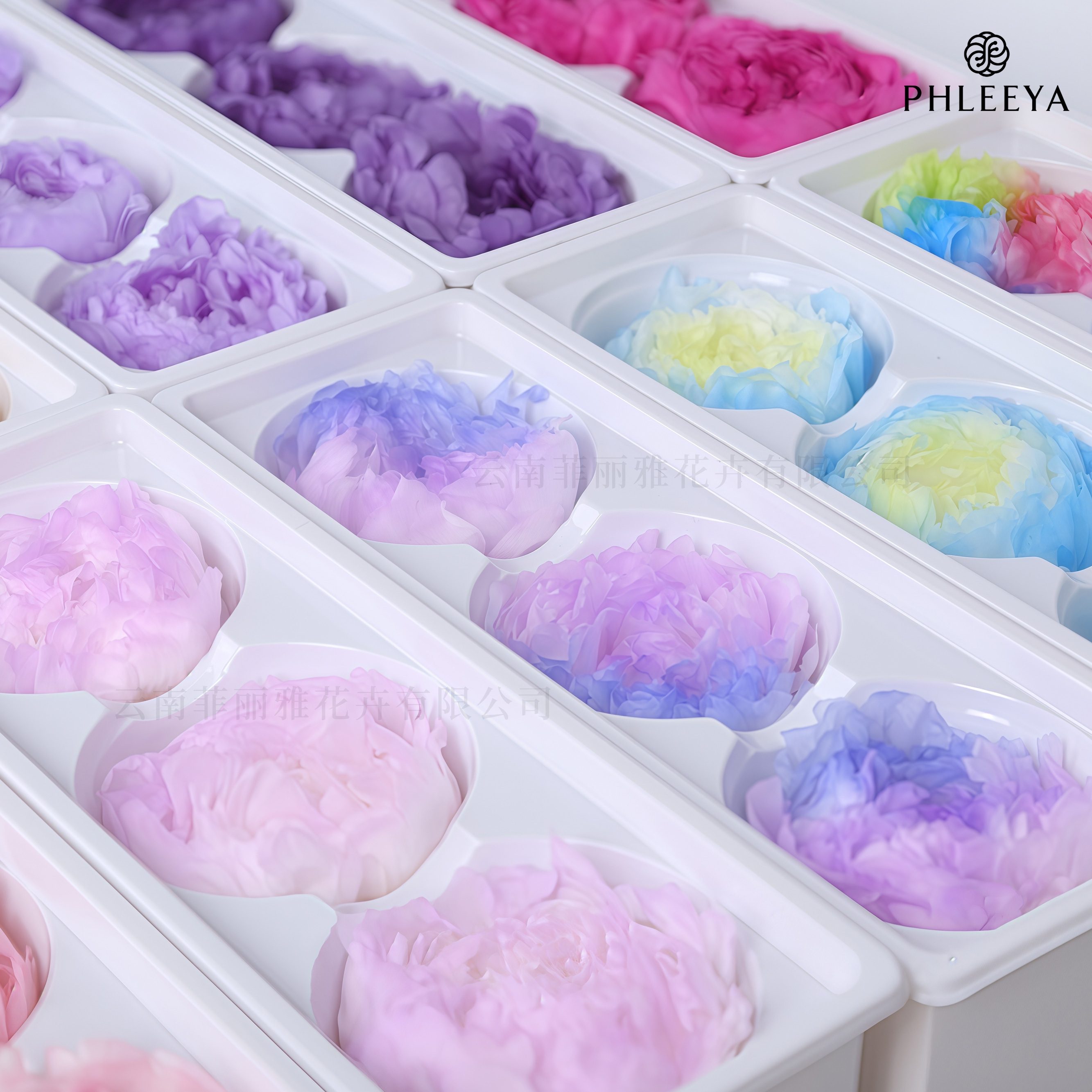 China Flower Materials: Essential Guide to Sourcing and Crafting with Fresh Blooms